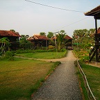 The houses for the orphanage