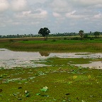 Scenery in Cambodia 1