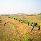Countryside photoes taken from the bus 1