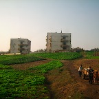 Countryside photoes taken from the bus 2