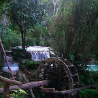 From the waterfall outside Luang Prabang 10