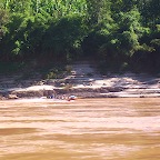 Others took FastBoat between Luang Pradang and border of Thailand 1